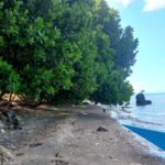 Land for Sale in East Bali