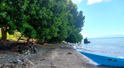 Land for Sale in East Bali